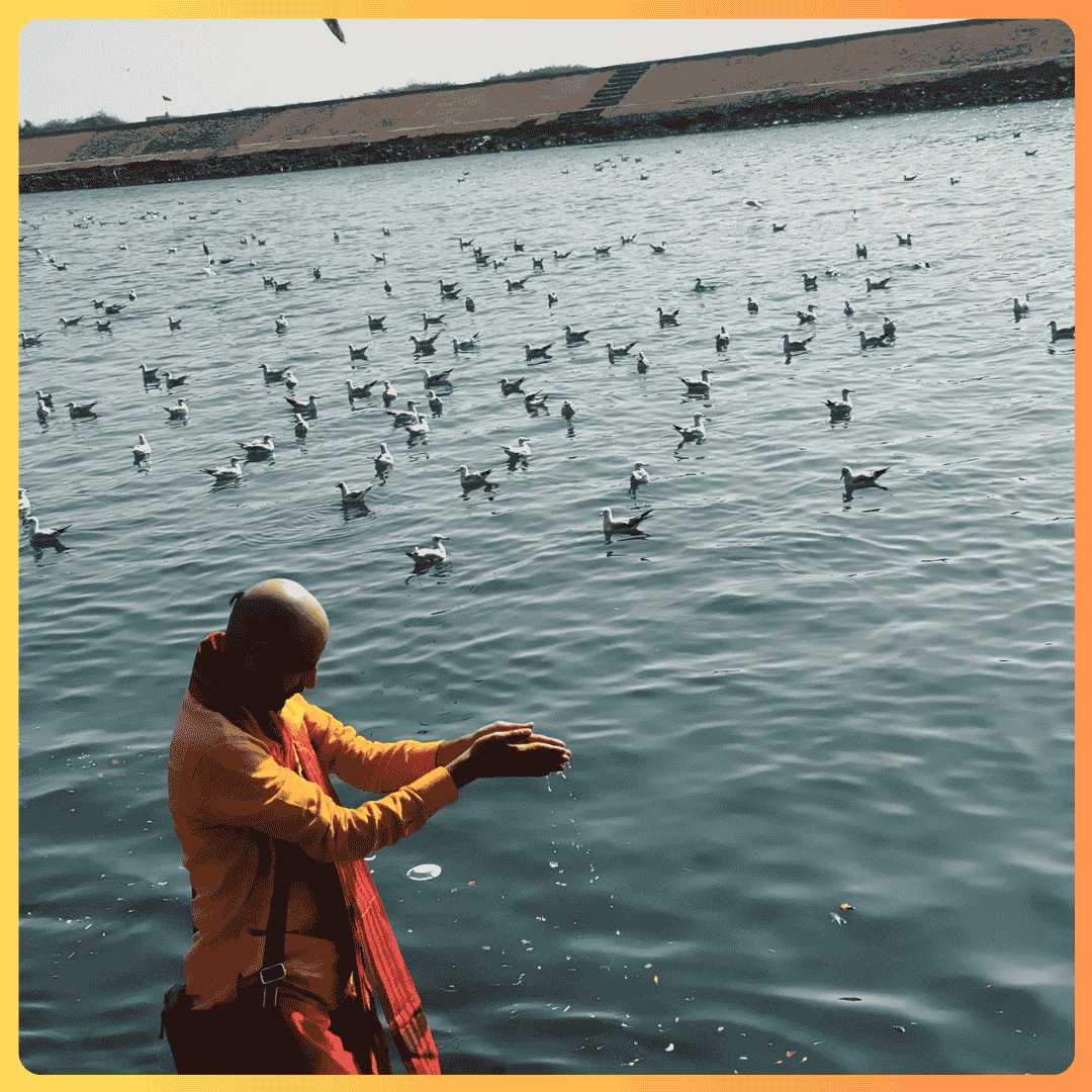 Sri Krishna Siddha Peeth Foundation